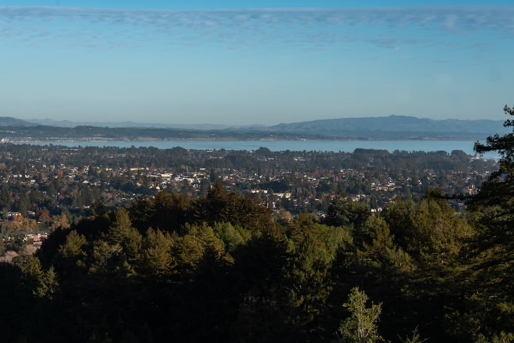 Panorama view of Santa Cruz with the beaches in the distance and forests in the foreground. Shot in California.